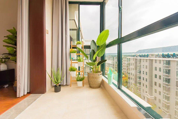 家有這6種陽臺越住越窮，記住白送也不能要！2