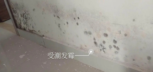我家墻壁發(fā)霉了怎么辦？找到原因才能根治處理！