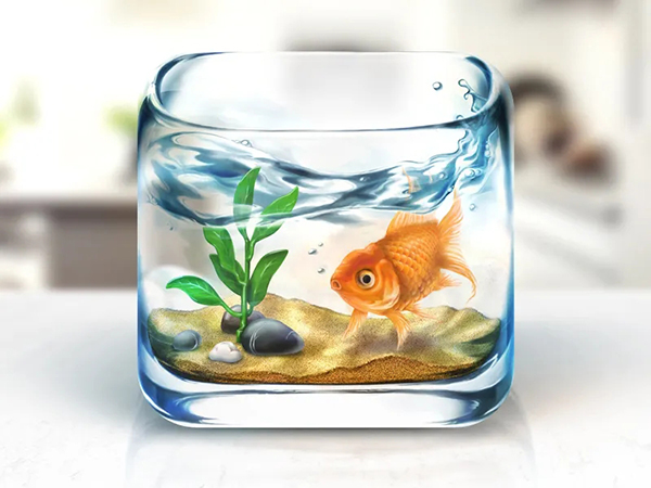 魚缸消毒的5大步驟，你都做對了嗎？